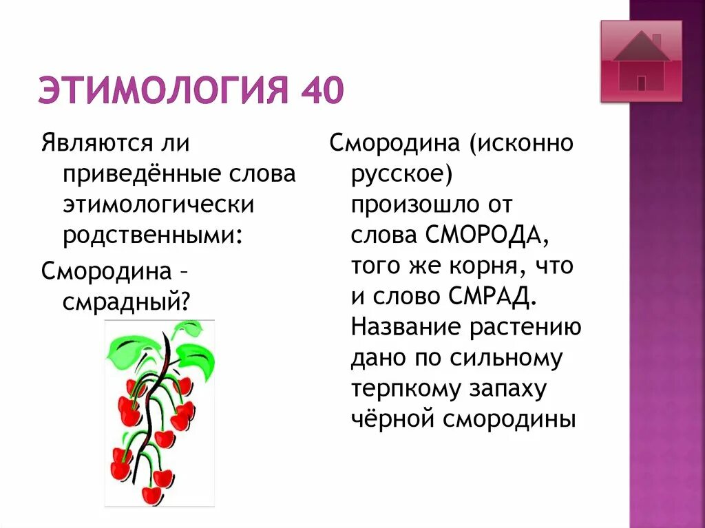 Этимология слова смородина. Названия цветов этимология. Смородина название произошло. Этимологически слова. Черная смородина слова текст