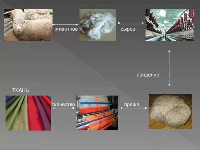 Превратился шерсть. Волокна для производства ткани. Что изготавливают из шерстяных тканей. Шерсть искусственные волокна. Ткани из шерстяных волокон.