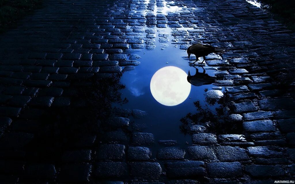 зеркальный коридор магия. космический сюрреализм. море и звезды. зеркальный путь. зеркальный путь.