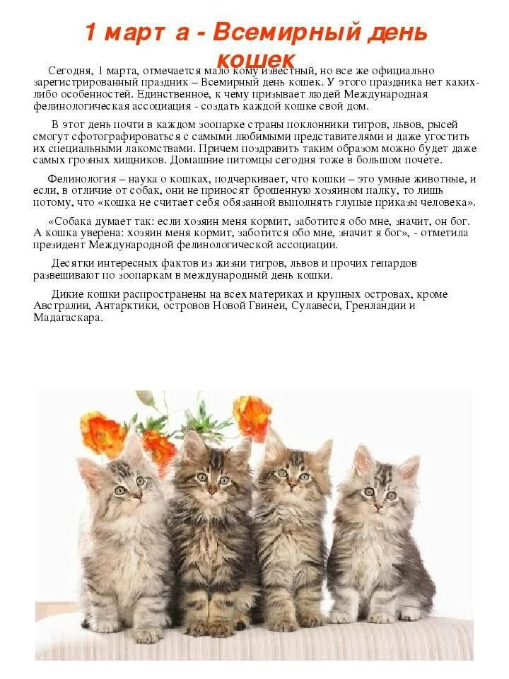 Всемирный день котов и кошек.