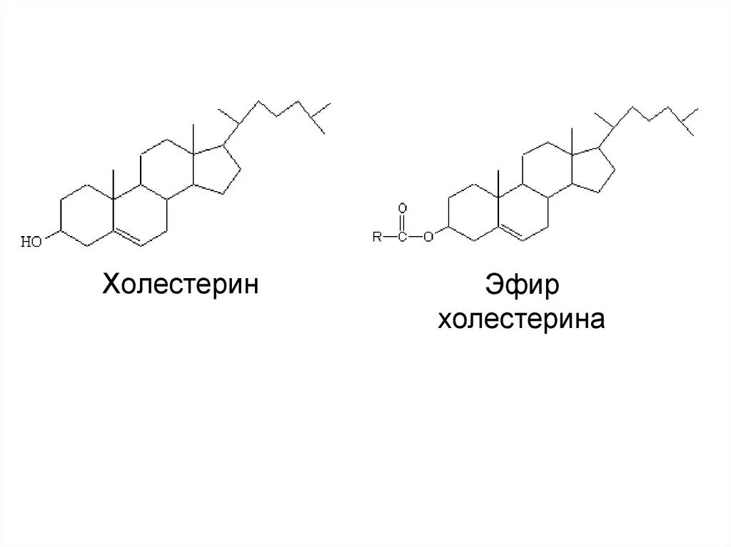 Формула холестерола. Эфир холестерина формула структурная. Эфир холестерина формула. Эфиры холестерола структурная формула. Холестерин с олеиновой кислотой.