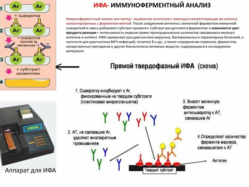 Тест метод ифа. ИФА методика выполнения анализа. Метод иммуноферментного анализа (ИФА).. ИФА микробиология схема. Схема проведения анализа ИФА.