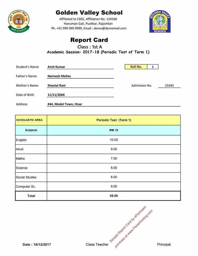School report. Sample of Primary School Report Card.