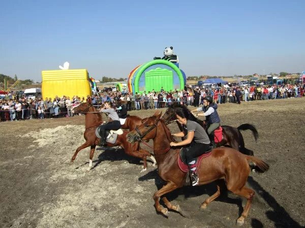 Погода в кривянской на 14. Станица Кривянская школа 72. Станица Кривянская Ростовская область. Станица Кривянская праздник Покров. Праздник Покрова скачки станицы Кривянской.