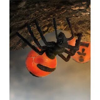 Ant m