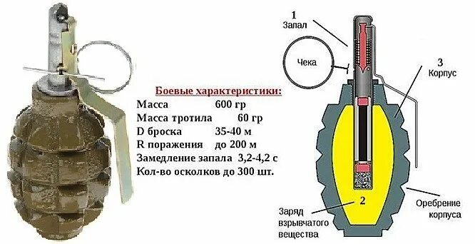 Граната f1 устройство. Граната f-1 схема. Радиус осколков гранаты ф 1. ТТХ ф1 гранаты.