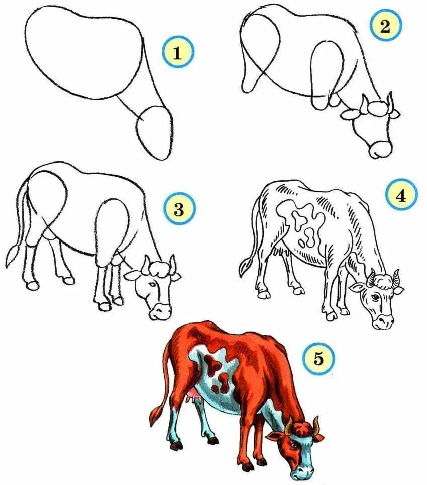 Схемы рисования поэтапно. Рисование животных. Рисунки животных. Рисование животных пошагово. Уроки рисования животных для детей.