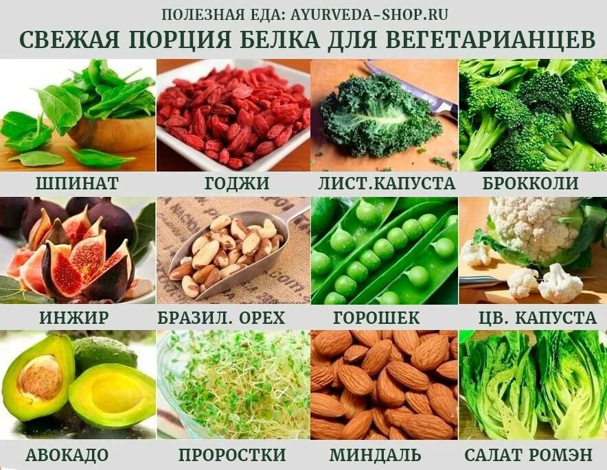 Как восполнить белки