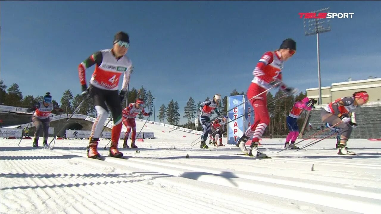 Лыжи чр сегодня результаты. Командный спринт на лыжах Свободный стиль стартовая зона. Квалификация в спринте в лыжных гонках 6 букв сканворд.