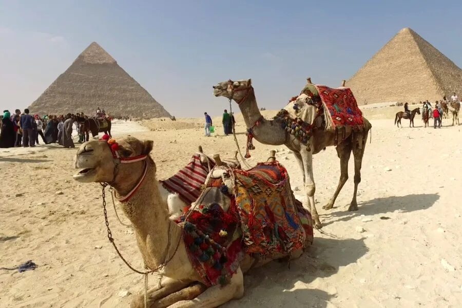 Обстановка в египте 2024. Русские специалисты в Египте. Crescent группа Египет. В Египет они собрались. Переговоры в Египте фото.