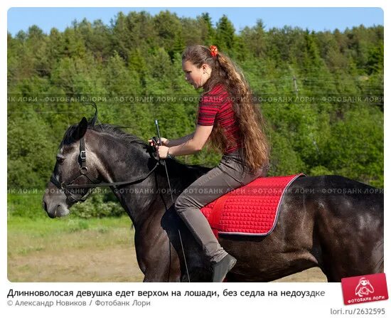 лошадь на траве. молодецки ехать верхом лексическое. по молодецки. лексическое значение слова примеры. слова с лексическими ошибками.