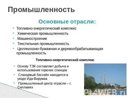 Ведущие отрасли топливной промышленности