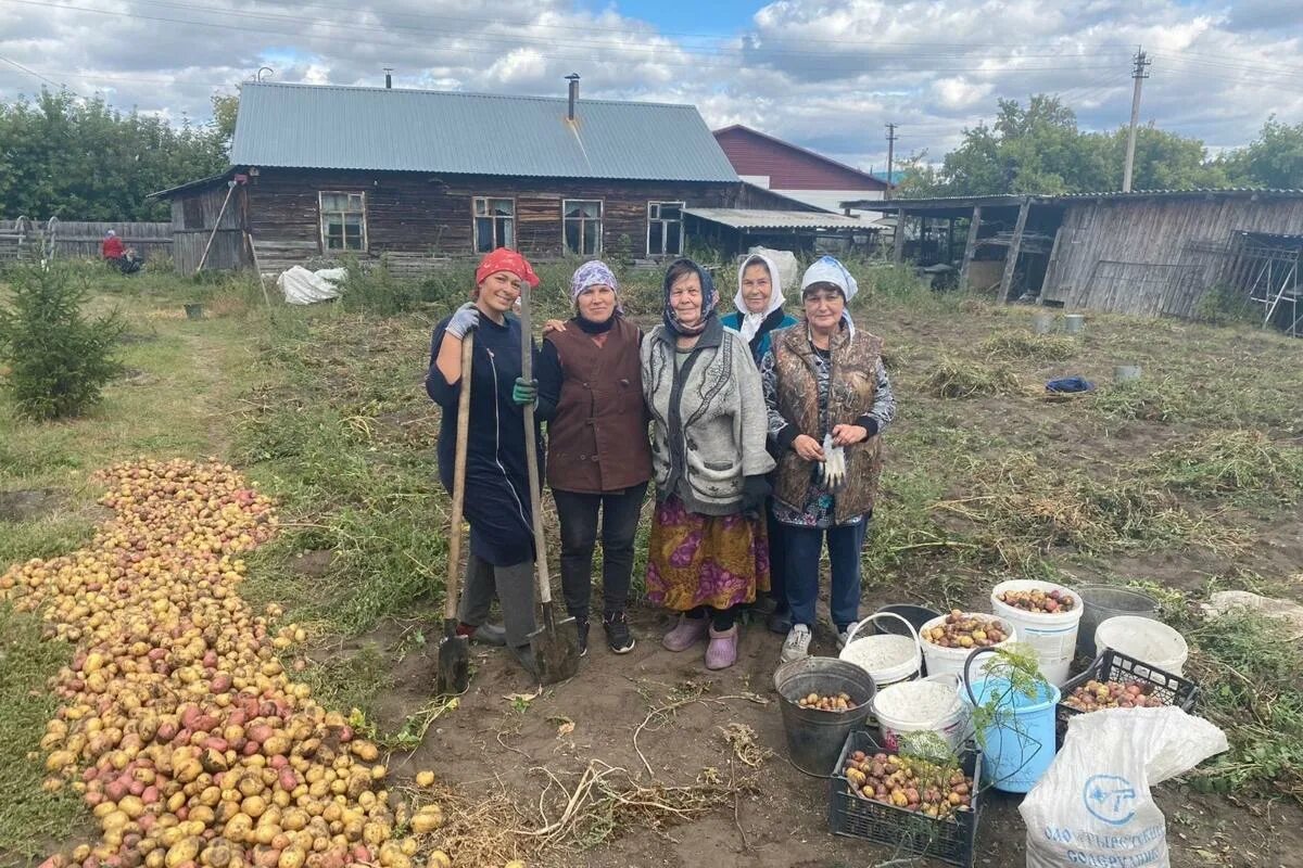Село утятское фотографии. Курганская область, петуховский р-н, петухово. Погода деревня кургане. Село утятское курганская область. Погода деревня кургане.