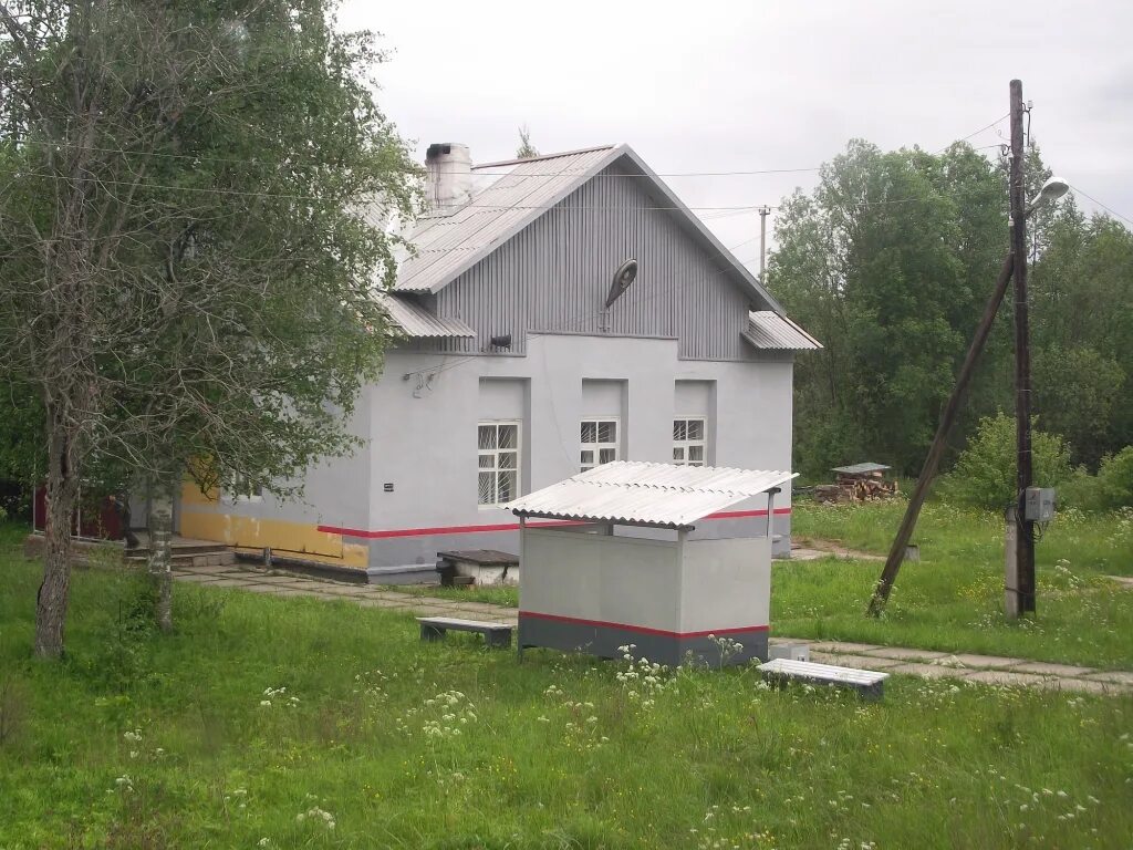 Погода в хвойной новгородской на 10