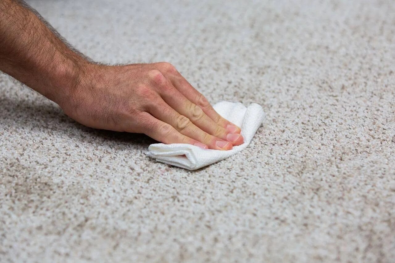 Wipe clean. Remove to clean. Stain Cleaning. How to properly clean Carpet. Remove Stain from Wool Carpet.