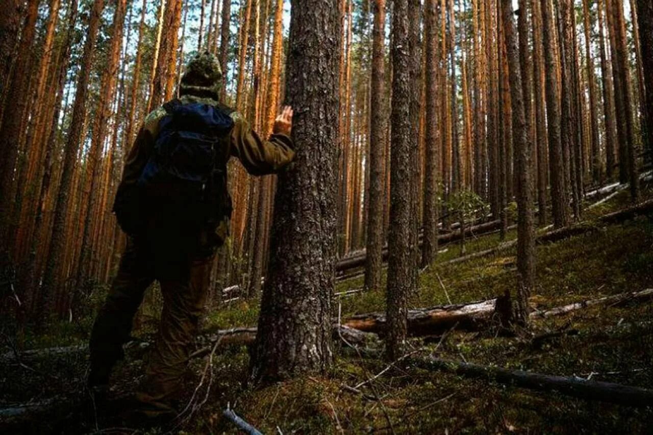 Заблудился в лесу. Человек в лесу. Человек в тайге. Лес Тайга.