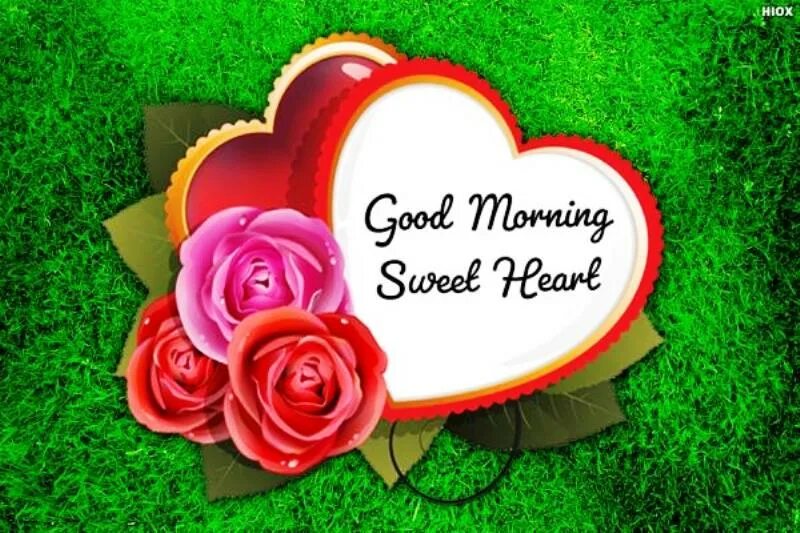 Sweetheart morning. Good morning my sweet man. Good morning sweetheart gif. Good morning my dear картинки мужчине. Good morning sweetheart.