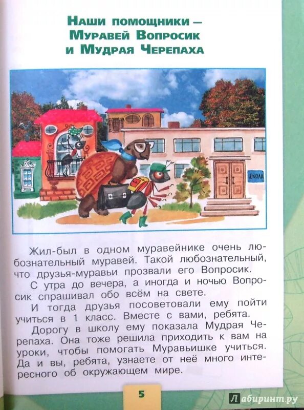 Мудрая черепаха просит тебя рассказать. Сказка окружающий мир 1 класс. Муравей и черепаха окружающий мир 1 класс. Рассказ по окружающему миру 1 класс. Рассказ про окружающий мир.