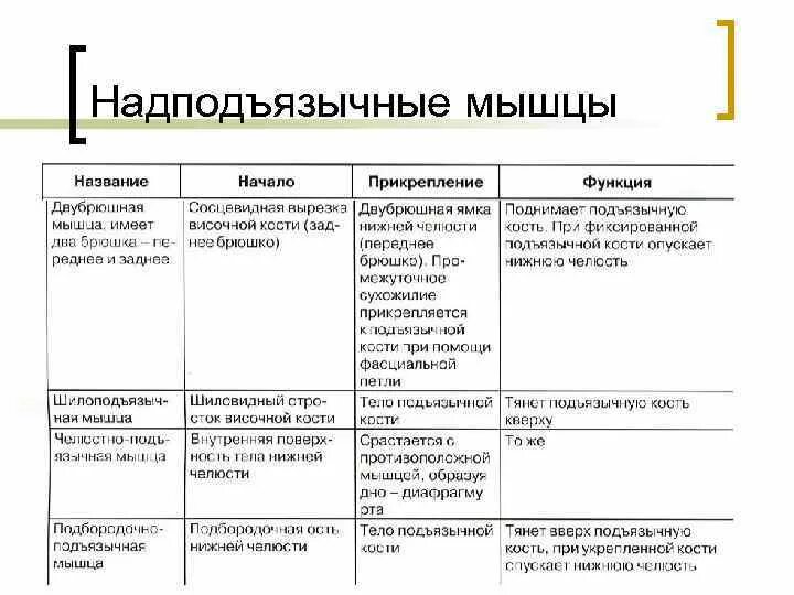 Начало прикрепление функции мышц. Функции поверхностных мышц шеи таблица. Мышцы шеи функции таблица. Глубокие мышцы шеи таблица функции. Мышцы шеи прикрепление таблица.