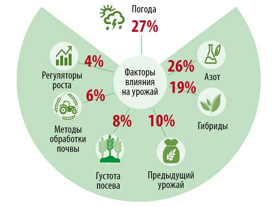 От каких факторов зависит урожайность дикорастущих растений. Факторы влияющие на урожайность. факторы влияющие на урожайность зерновых. факторы влияющие на урожайность сельскохозяйственных культур. факторы влияющие на урожайность зерновых культур.