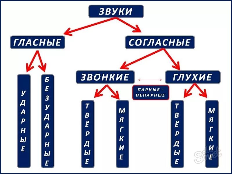 Схемы фонетического разбора в начальной школе. Схема фонетического разбора 1 класс. Схема фонетического рабор. Фонетический разбор слова схема.