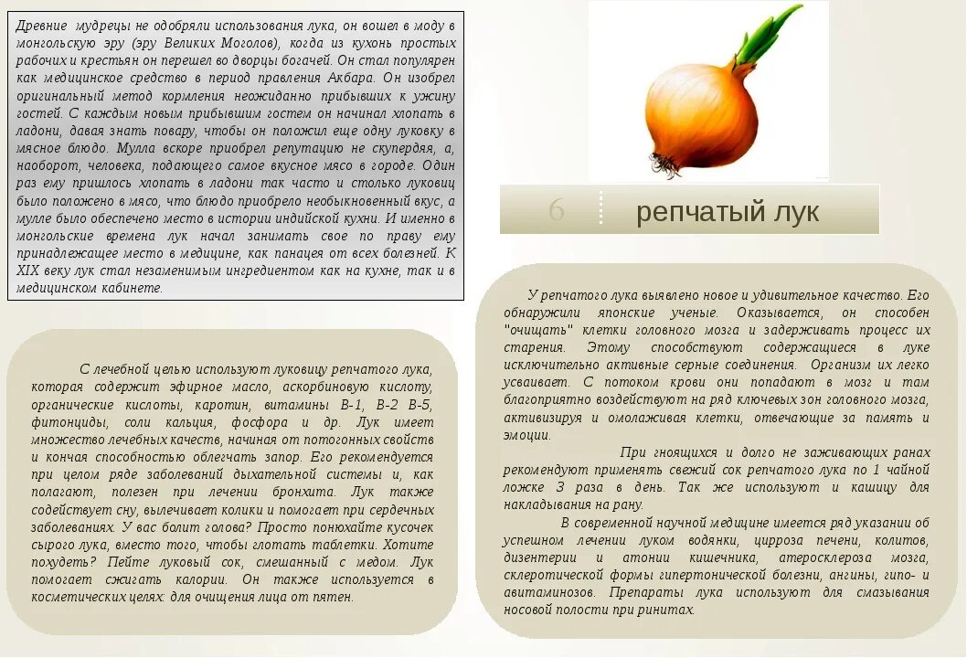 Можно ли ребенку давать лук. Органолептические показатели лука репчатого. показатели качества лука репчатого. органолептическая оценка качества лук репчатый. органолептическая оценка лука репчатого.