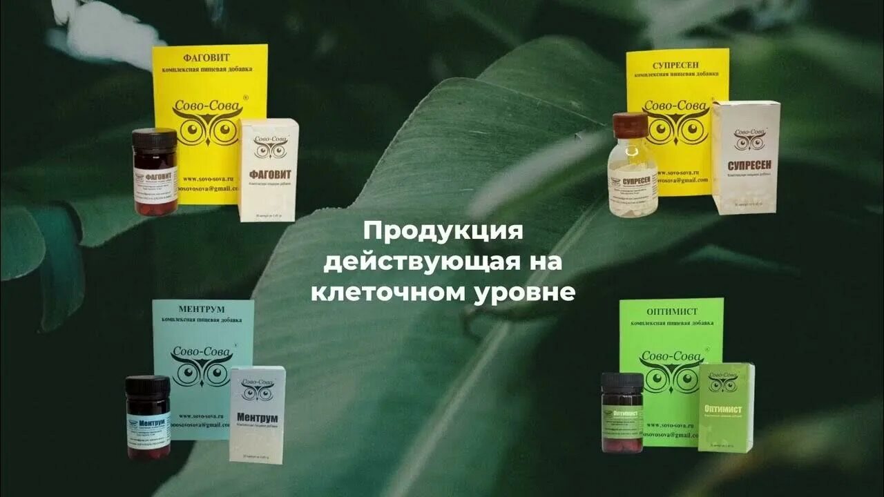Продукция компании сово сова. Компания сова-сова. Сово сова компания. Продукция компании сово сова. Мезонектар сово-сова.