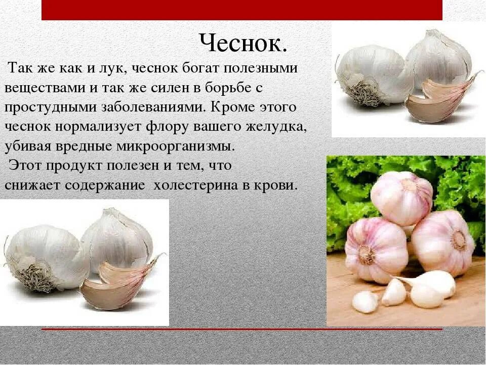 Чеснок витамины. Вещество в чесноке. Чеснок витамины содержит. Витамины в луке и чесноке. Какой чеснок полезнее