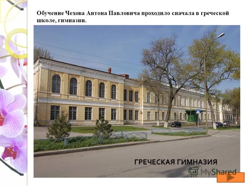 какой тип образования гимназия