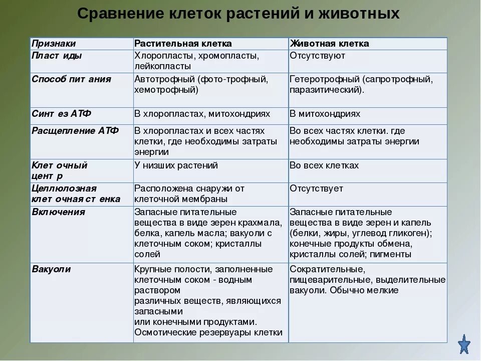 Растительная клетка сходства и различия. Таблица особенности строения, функции растительной и животной клетки. Строение и функции клеток растений и животных таблица. Особенности строения растительной клетки таблица. Строение и функции животной и растительной клетки таблица.