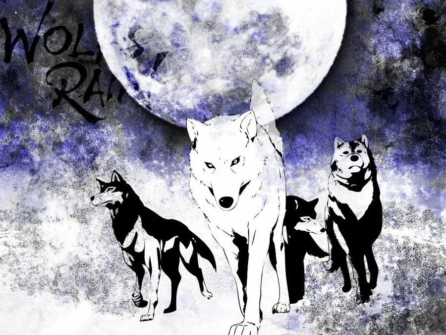 S rain песни. Волчий дождь волки. Волчий дождь стая Волков. Волчий дождь черный волк.