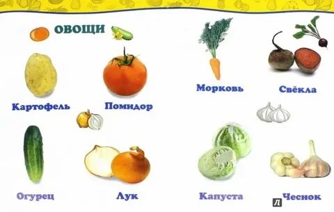5 названий овощей