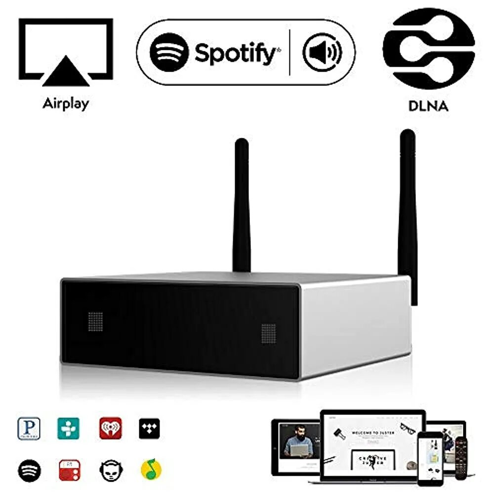 Arylic a50. Стример + усилитель + ресивер. Недорогие Wi Fi Audio ресиверы.