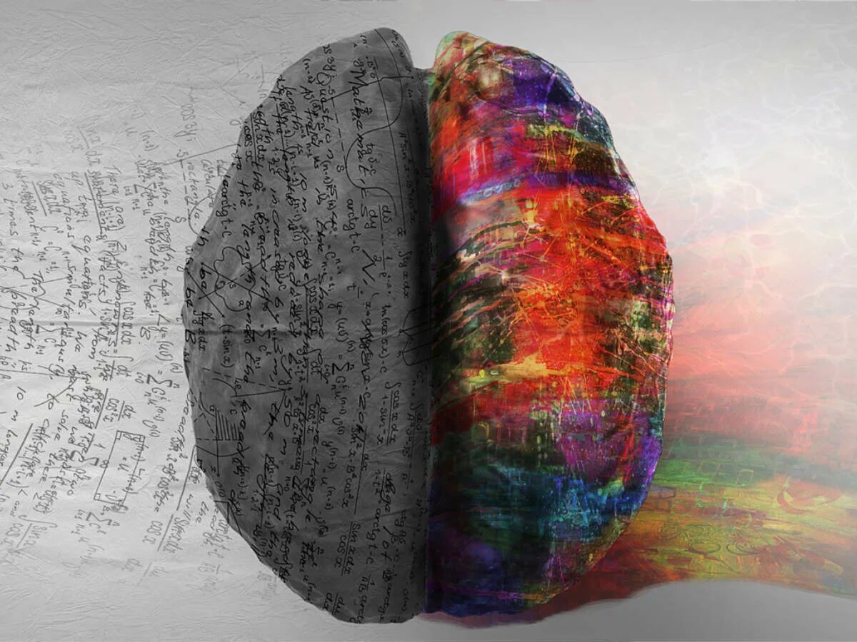 Colored brains. Наука и искусство. Креативный мозг. Творческий мозг. Наука и искусство рисунок.
