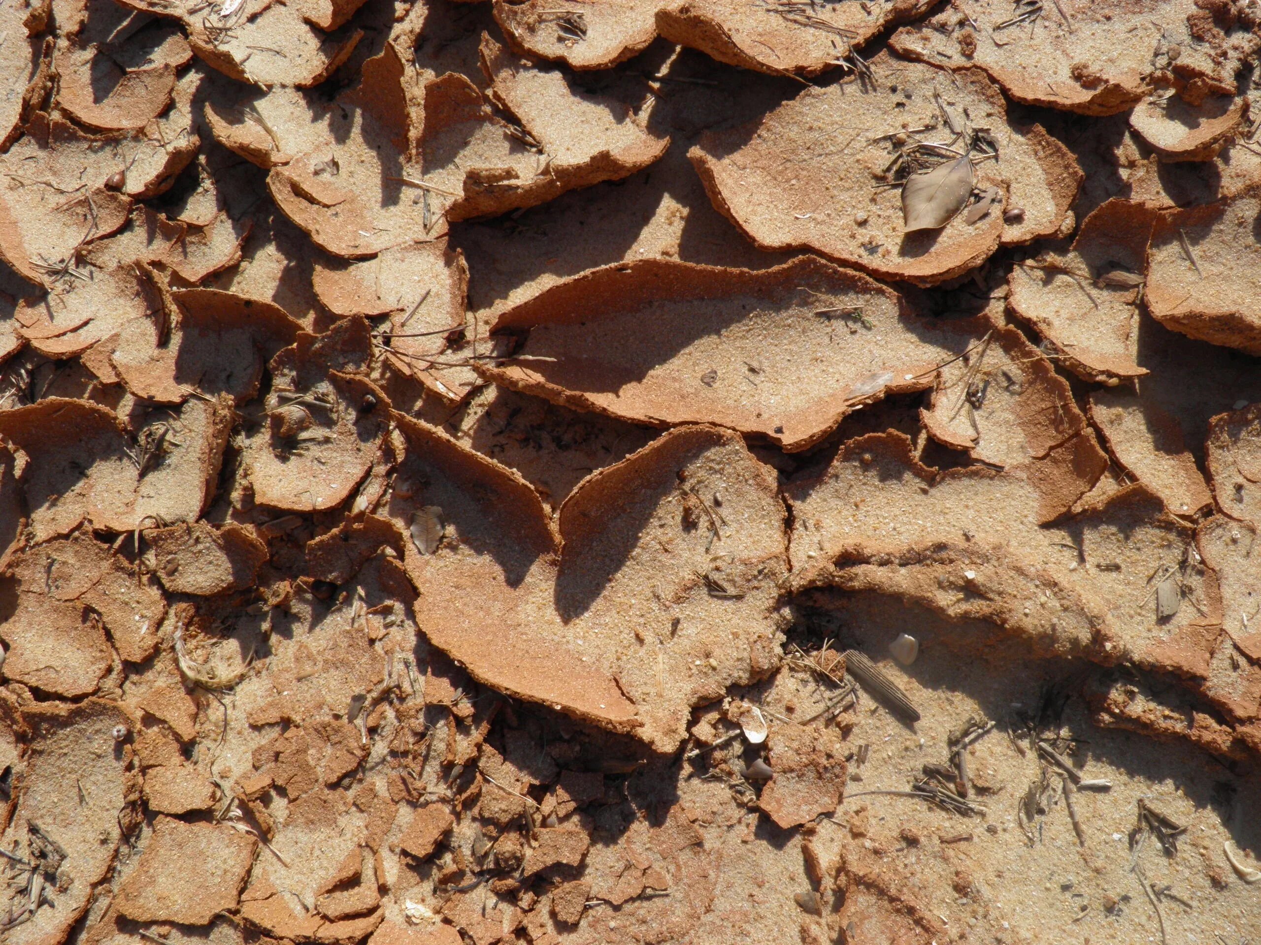 Глинистый 7. Грунт текстура. Почва коричневая. Коричневый грунт. Почва текстура.