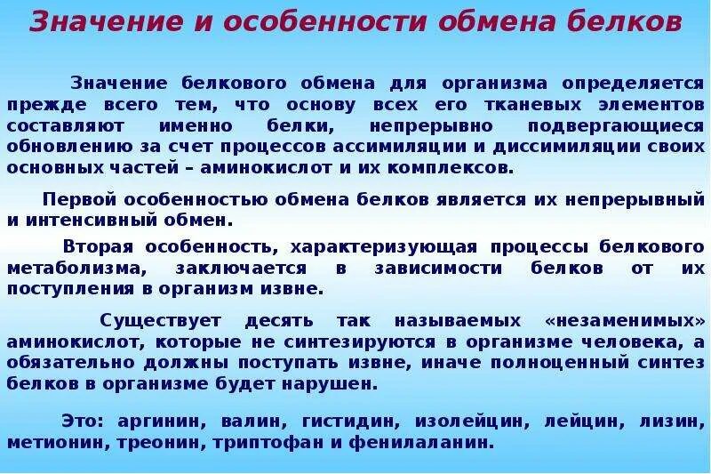 Значение белкового обмена в организме. Значение белкового обмена. Обмен белков в организме. Обмен белков значение. 2 белковый обмен