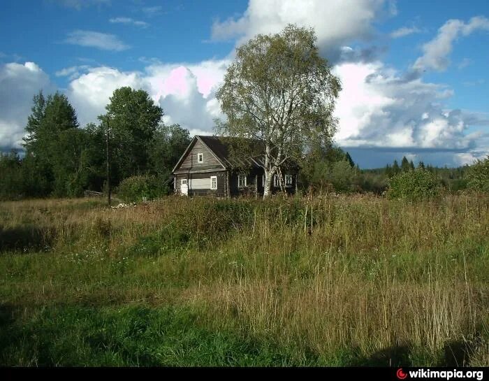 Топорок новгородская область. Деревня Топорок Новгородская область. Деревня Топорок Окуловский район. Боровенковское сельское поселение Окуловского района. Деревня бабье.