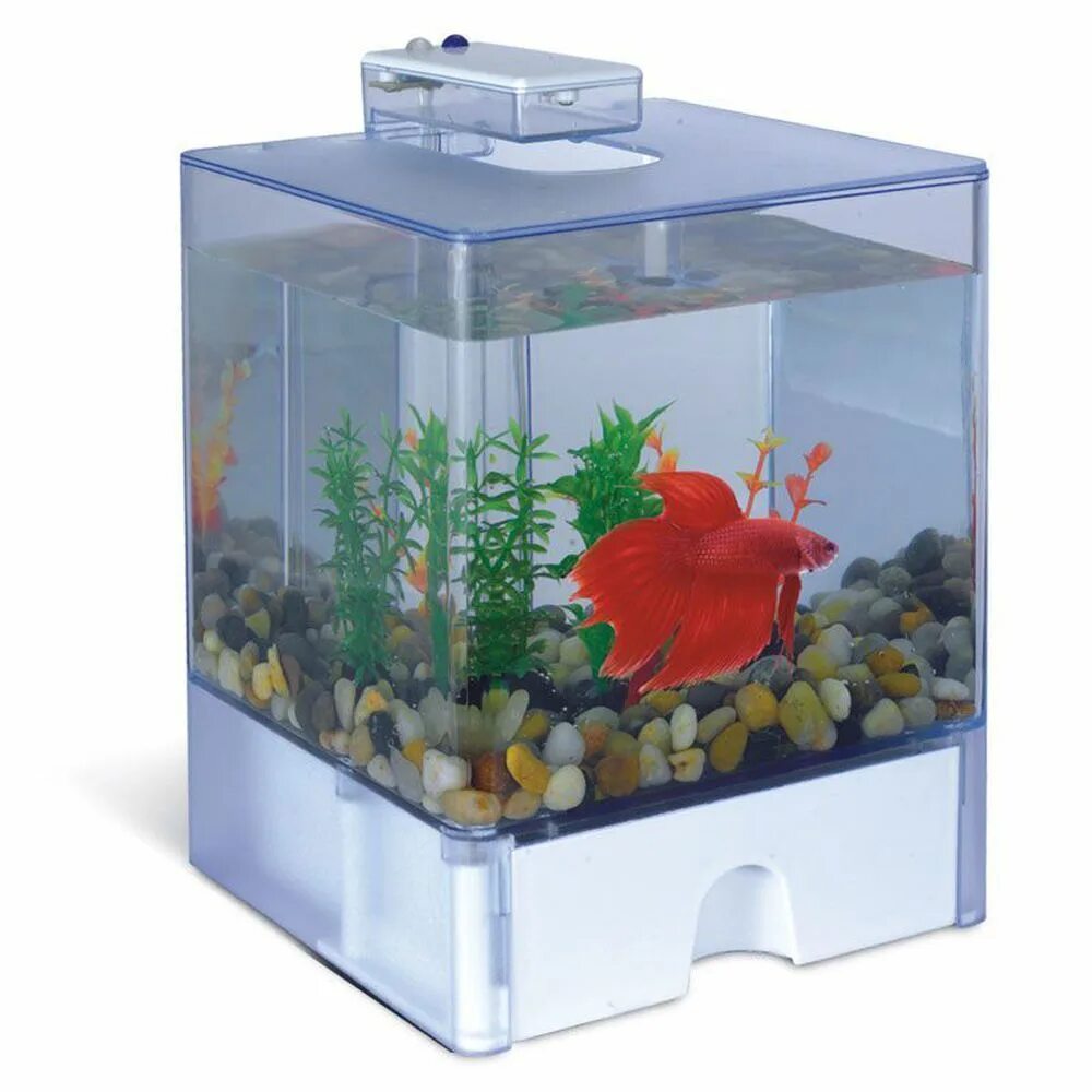 3 Л (освещение, крышка) AA Aquarium Aqua Box Betta аа1515. AA-Aquarium аквариум 1212aa "Aqua Box Betta", 1,3л, 120*120*145мм. Триол Aqua Box аквариум 17л. AA Aquarium Aqua Box Betta 1212aa. Купить рыбок в омске