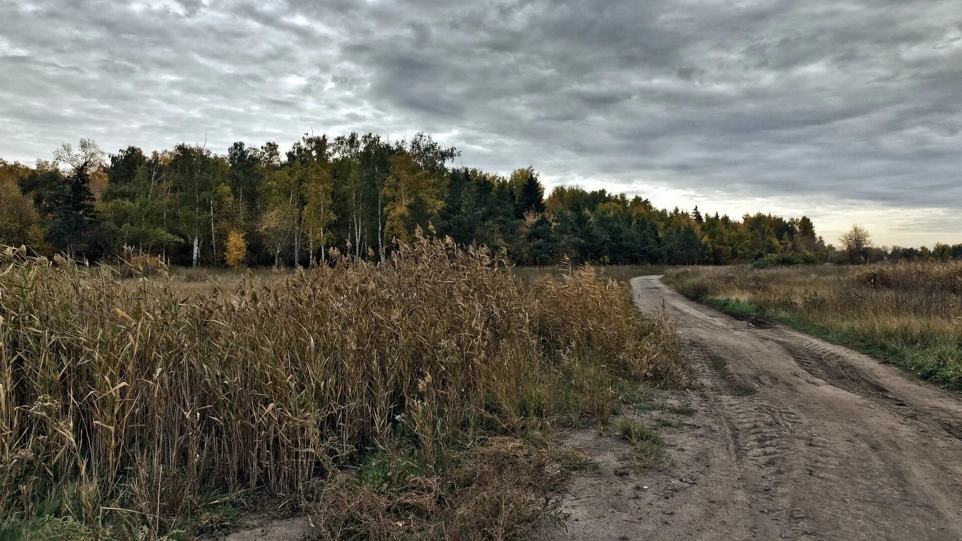 Сельская дорога. Проселочная дорога. Поздняя осень в поле. Дорога в деревне.