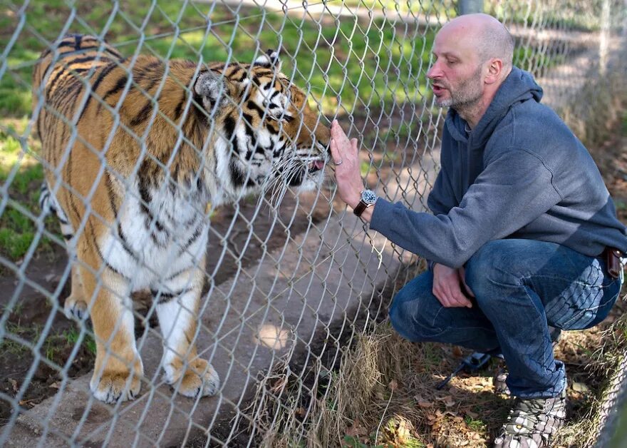 Бенджамин ми. Дортмундский зоопарк бенджамин ми. dartmoor zoological park. бенджамин ми владелец зоопарка. dartmoor зоопарк.