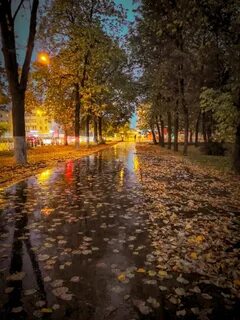 Осенними дождливыми вечерами
