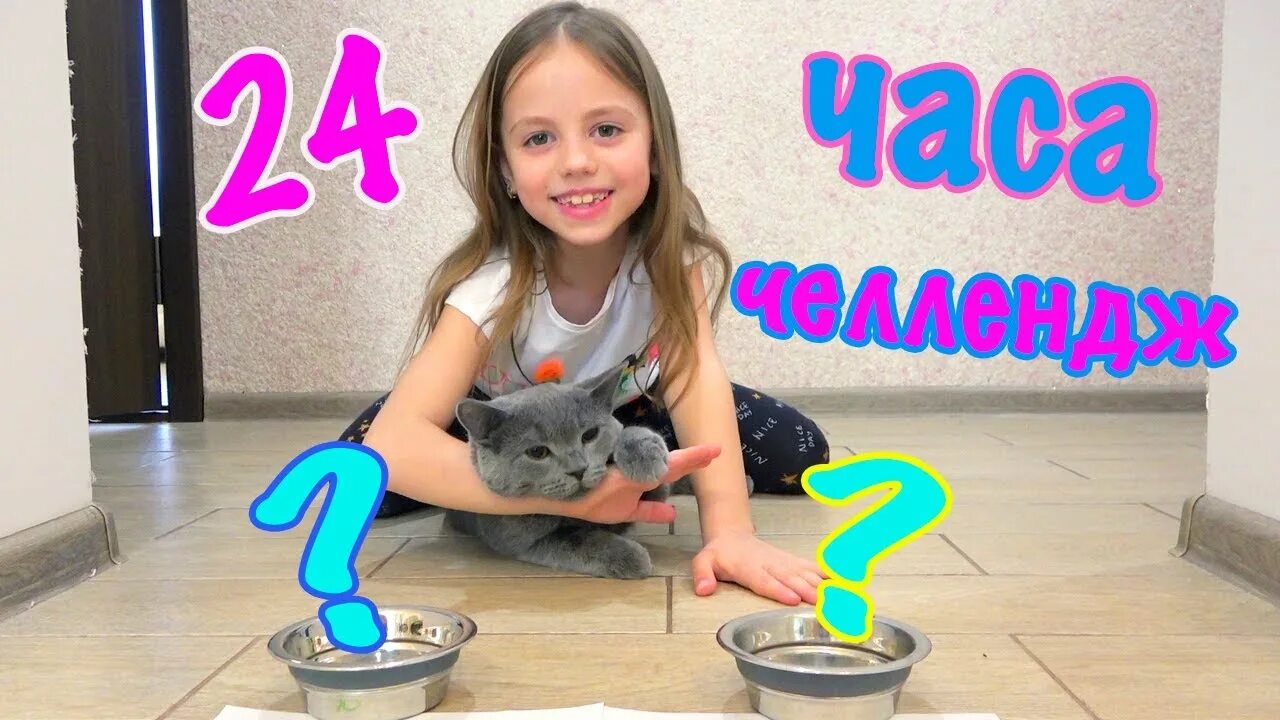 24 часа my little nastya. Настя и котенок тим. My little Nastya 24 часа. My little Настя котёнок. My little Настя 24 часа в одном цвете.