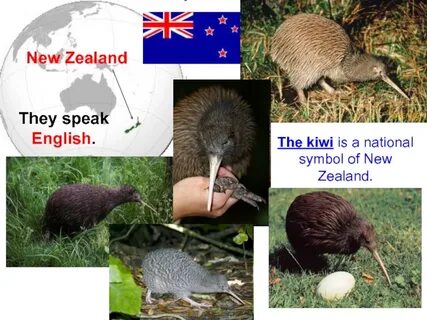 New zealand транскрипция