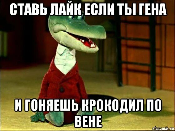 Гена откуси ему ноги. Гена хочу гена. Гена прикол. Имя гена картинка. Гена хочу гена.