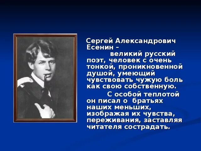 Человек в стихотворениях есенина. Есенин стихи о братьях наших меньших. Стих Есенина о братьях наших меньших. Есенин братья наши меньшие стихи. Великие люди о Есенине.