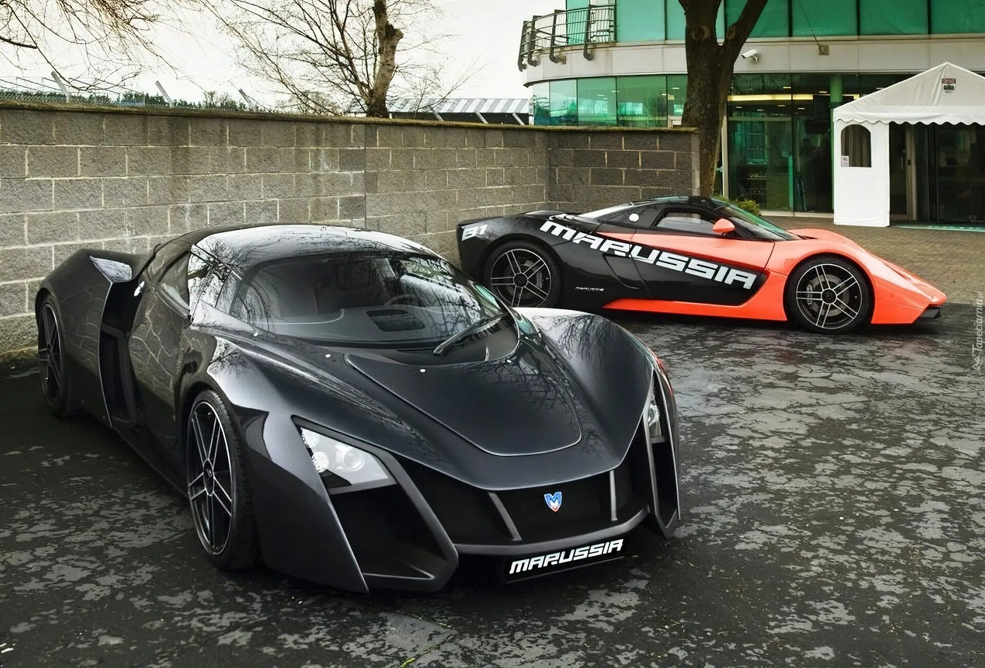 B o car. Marussia b2.