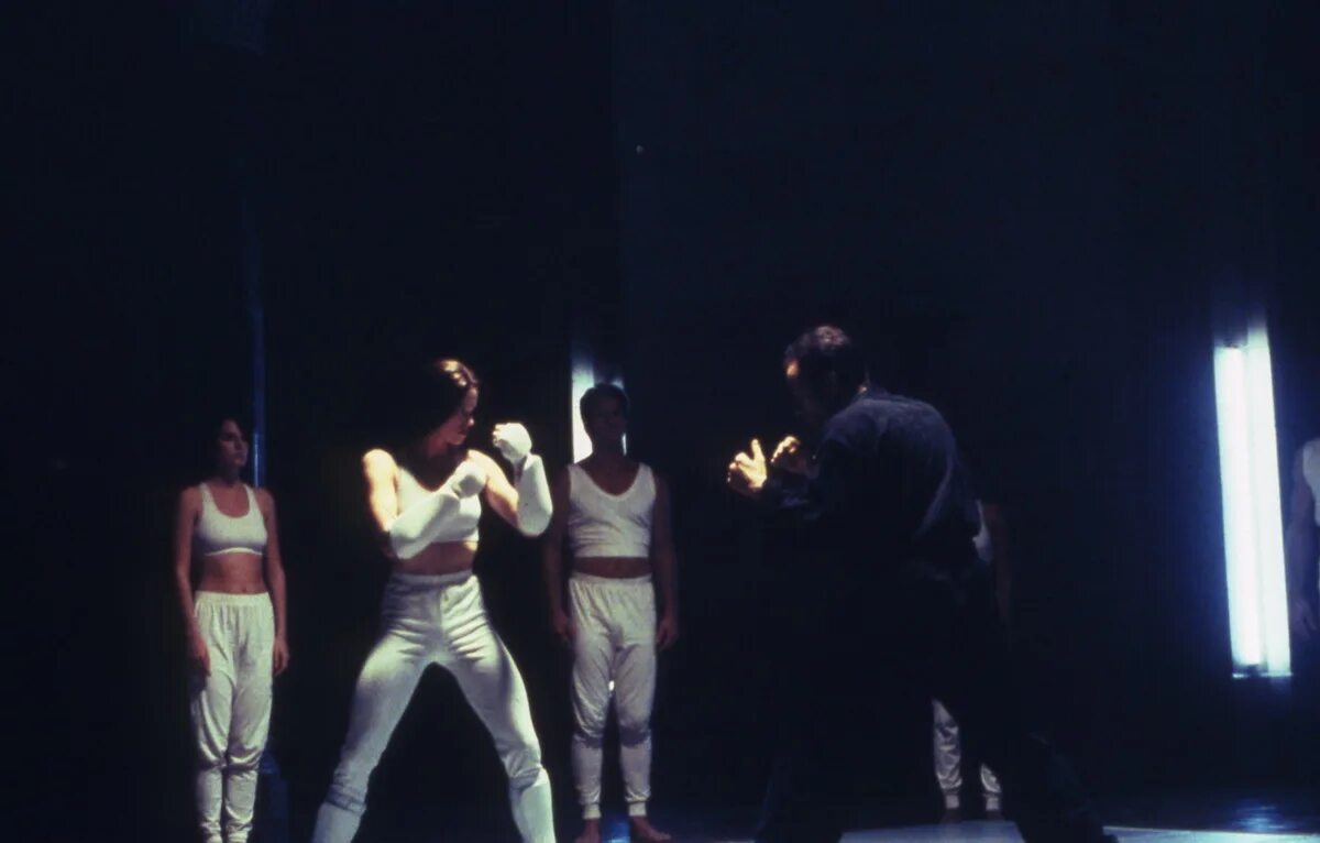 Киборг 2. Киборг 2: стеклянная тень (1993).