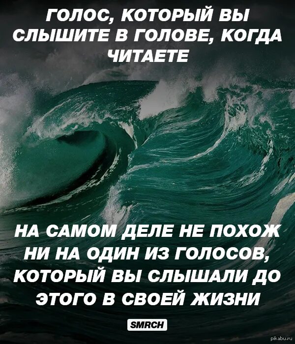 Слышу песни в голове. Голоса в голове юмор. Стих про голоса в голове. Вы слышите голоса в голове. Голоса в голове говорят.