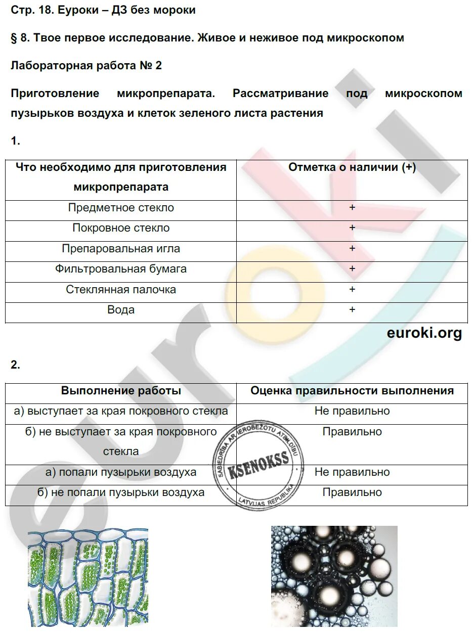 Лабораторная работа искусственные сообщества 5 класс ответы. Лабораторная по биологии 5 класс. Биология 5 класс лабораторная работа. Оформление лабораторной по биологии. Лабораторные работы 4 и 5.