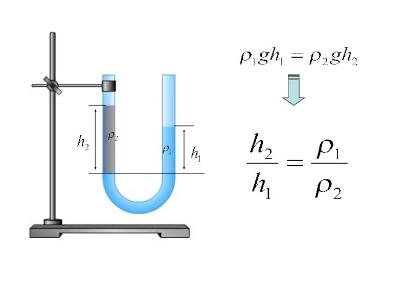 Формула сообщающихся сосудов 7 класс физика. Сообщающиеся сосуды формулы. Формула сообщающихся сосудов в физике 7 класс. Сообщающиеся сосуды формулы 7 класс. Сообщающиеся сосуды физика 7 класс кратко